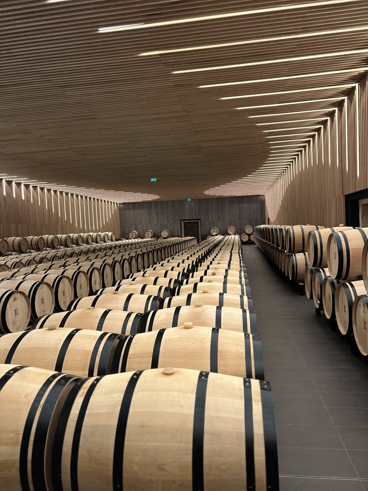 Chai d'élevage d'un grand cru classé — voyage ELLE WINE